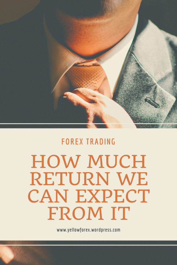 How Much Return Can We Expect from Forex Trading? [Opportunities VS Risk]